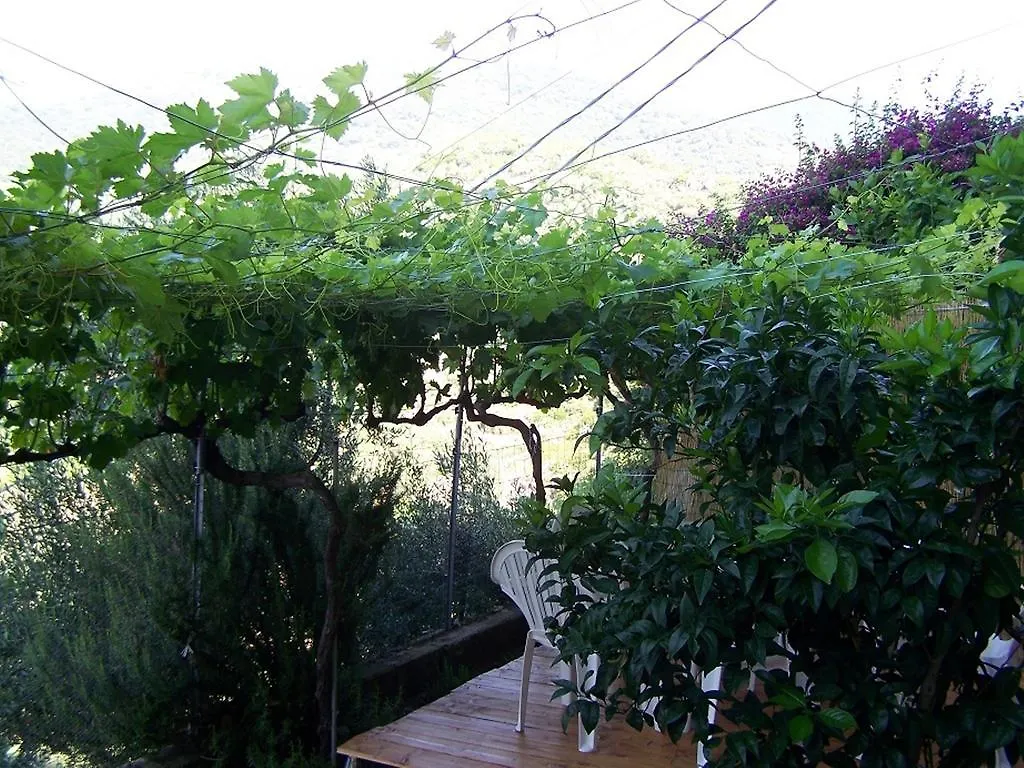 Bed & Breakfast B&B Baddesalighes Bolotana Italy